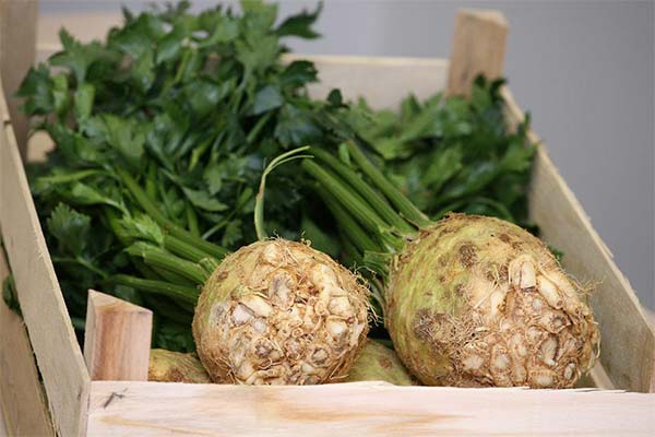 How to choose and store celery root