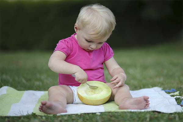 Jakými melouny krmit své dítě?