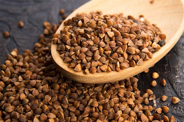 Benefits of buckwheat for the female body