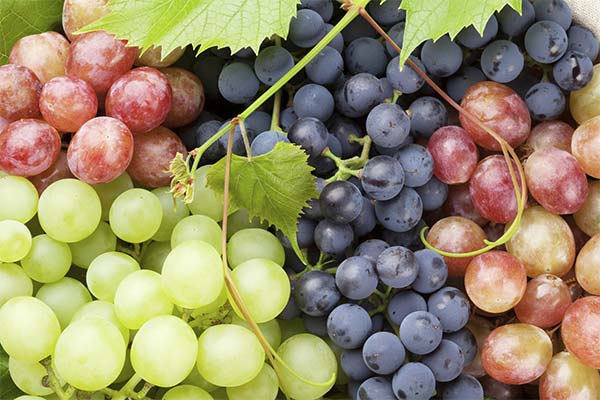 Valg af druer til diabetikere