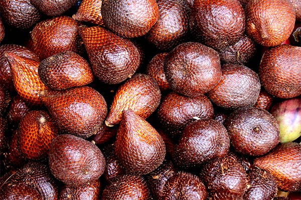 What can be cooked from the fruit salak