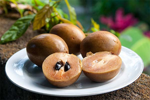 What you can cook with sapodilla