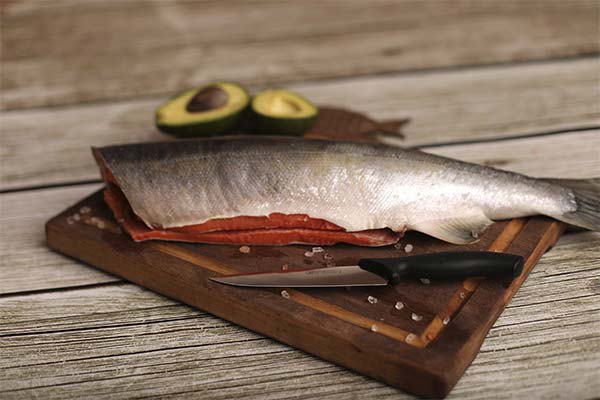 How to salt coho salmon