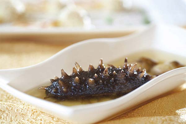 Nützliche Eigenschaften von Trepang auf Honig