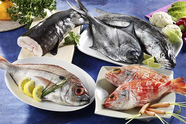 Which fish has the most vitamin D