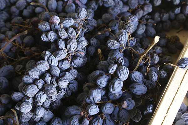 À quoi servent les raisins secs ?
