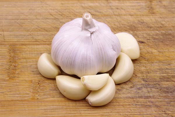 Benefits and Composition of Garlic