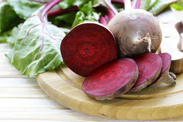 How does beet affect the human body
