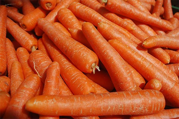 How carrots affect the human body