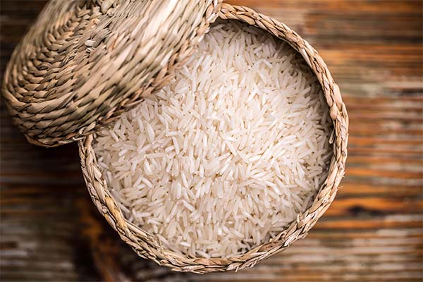 Výhody a škody rýže basmati