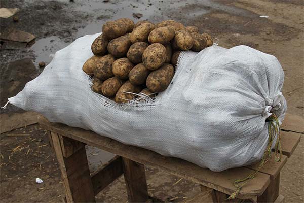 Potatoes in a bag
