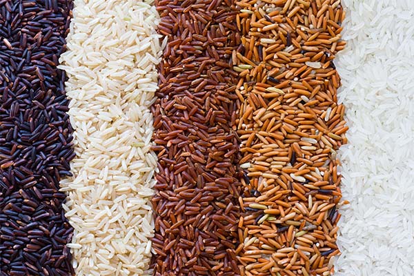 Variétés de riz