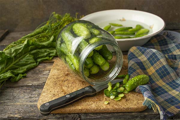 Homemade recipes for pickles