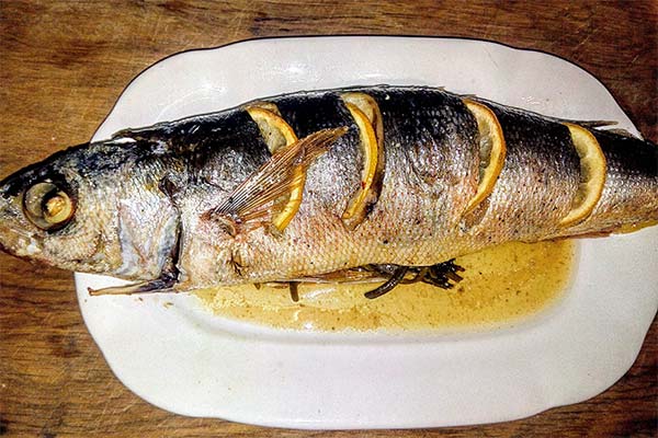 Jak uvařit rybí krajku