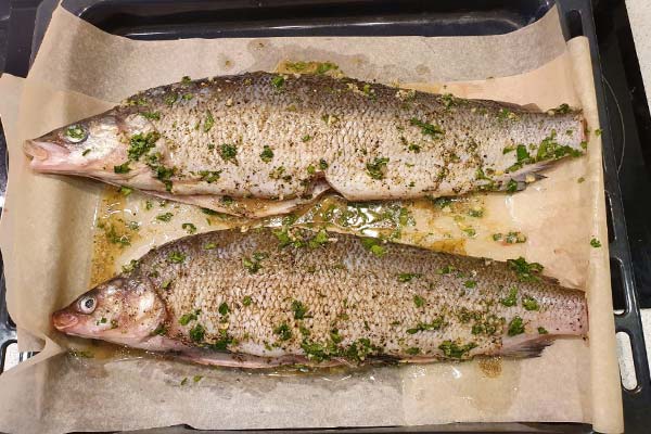 Wie man Muksun-Fisch zubereitet