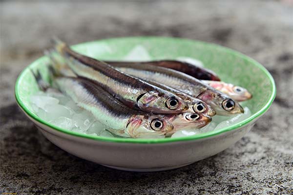 Fisch khamsa