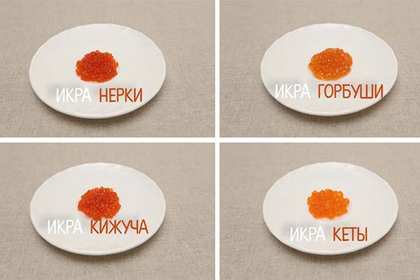 What is the difference between keta caviar and pink salmon caviar