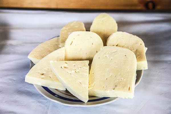 Wie man überschüssiges Salz im Käse loswird