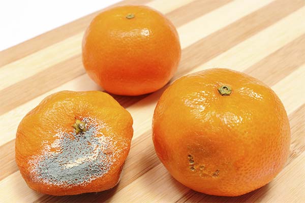 Anzeichen einer faulen Mandarine