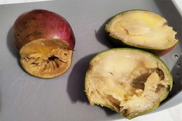 Advarselstegn på en fordærvet mango