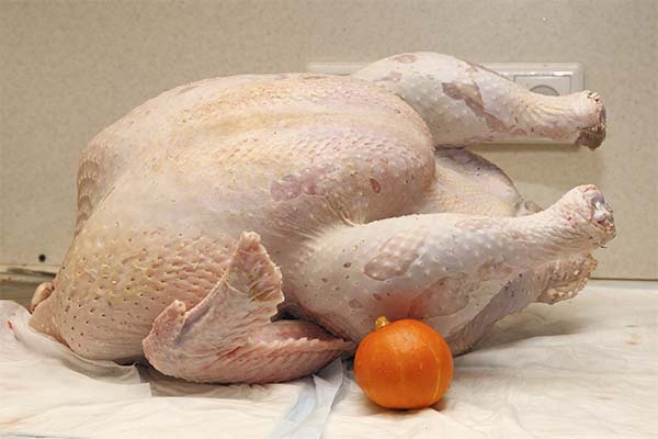 Signs of a tainted turkey