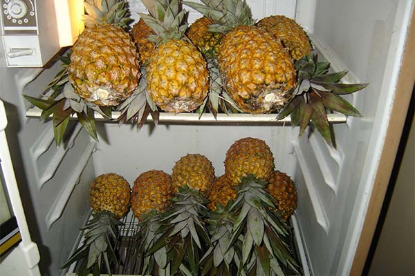 Wie man eine Ananas aufbewahrt