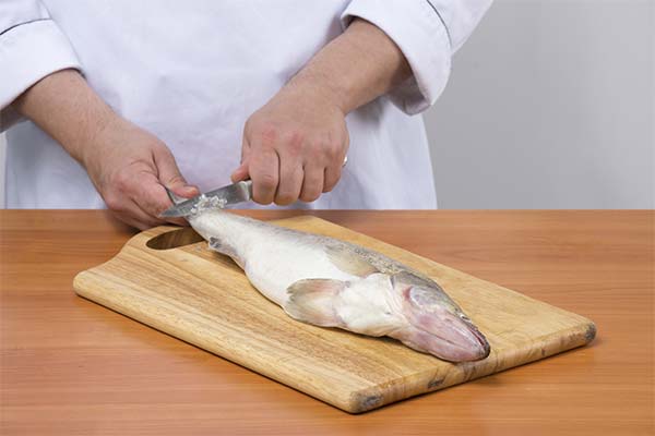 How to cut fish properly