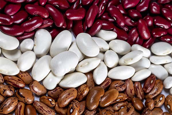 How to Pick the Right Beans