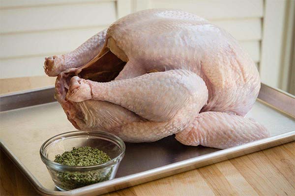How to choose fresh turkey meat when buying
