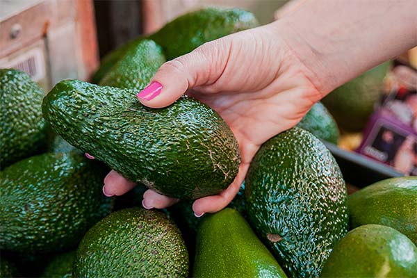 How to choose a fresh avocado when buying