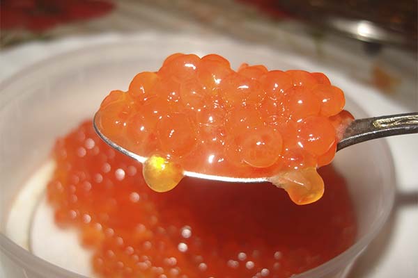 Propriétés utiles du caviar de saumon kéta