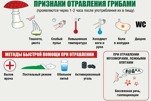 Symptomer på svampeforgiftning