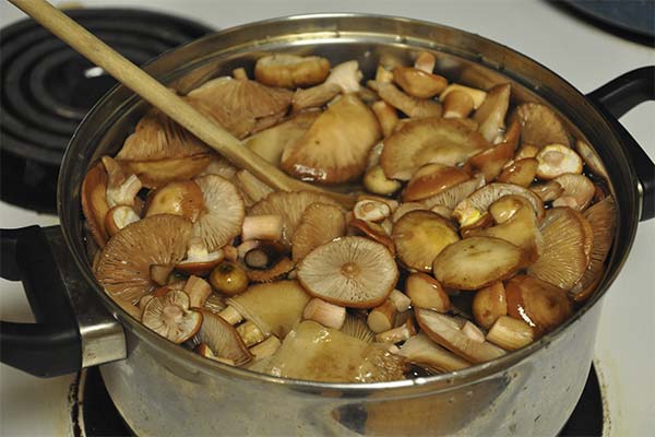 How long to cook mushrooms