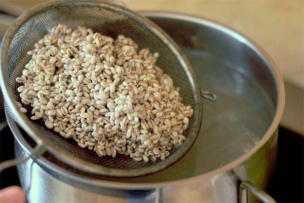 How long to cook barley