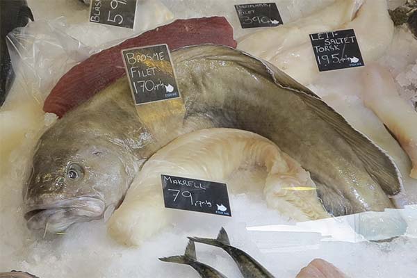 Wie gesund ist der Menek-Fisch?