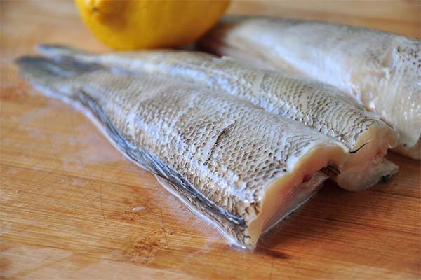 Hvad er Notothenia fisk godt for?