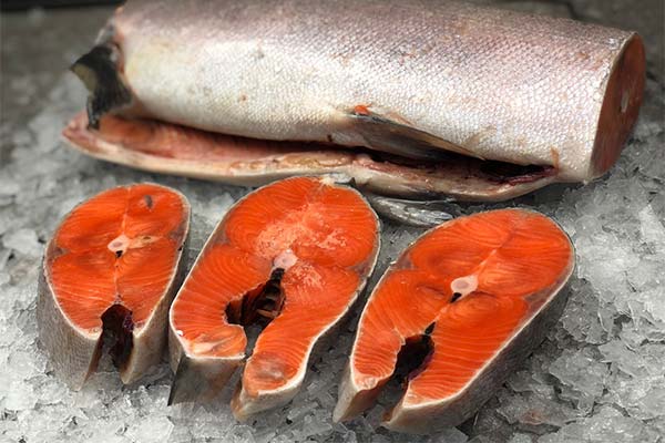 A quoi sert le saumon quinnat ?