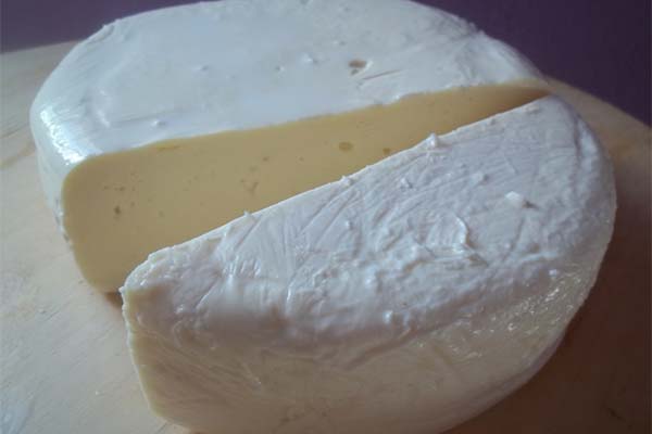 Wie man Suluguni-Käse herstellt