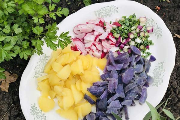 Salade de pommes de terre violettes