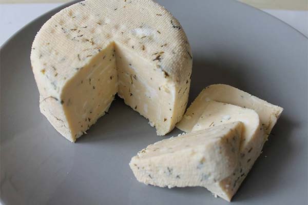 Käse aus abgelaufenem Kefir