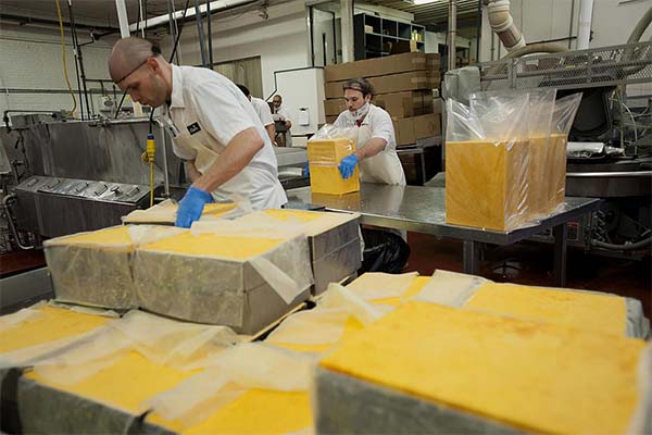 Technologie zur Herstellung von Cheddar-Käse