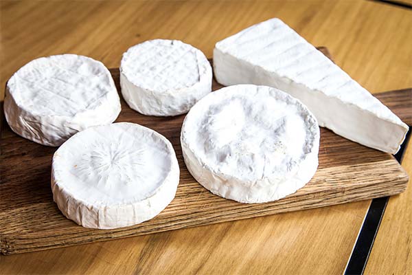 Jaký je rozdíl mezi sýrem brie a camembertem?