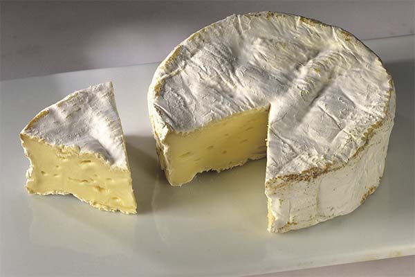 Wie man Camembert-Käse herstellt