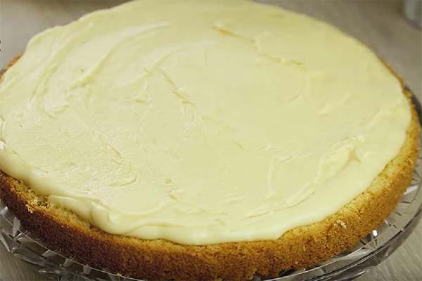 Plombière cream for sponge cake with cream