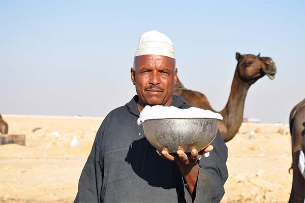 Hvad er kamelmælk godt for?