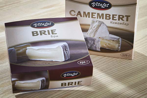 Fromage brie et camembert