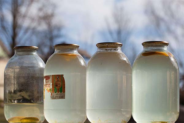 白樺樹液の保存方法