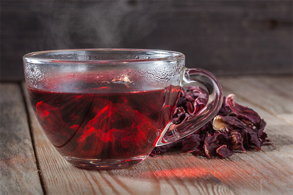 איך שותים תה היביסקוס