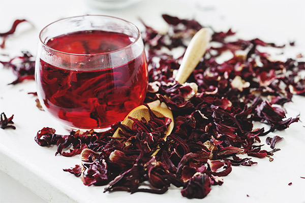 כיצד לבחור ולאחסן תה היביסקוס