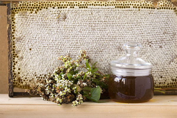 Propietats útils de la mel de fajol
